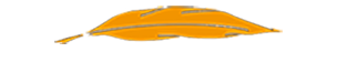 logo_BDL_begeleiding2.png