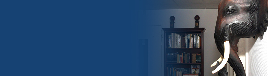 introductie_banners4.jpg