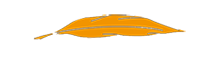 bdl_logo3.png