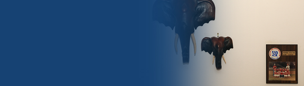 BdLinBeeld_banner3.jpg